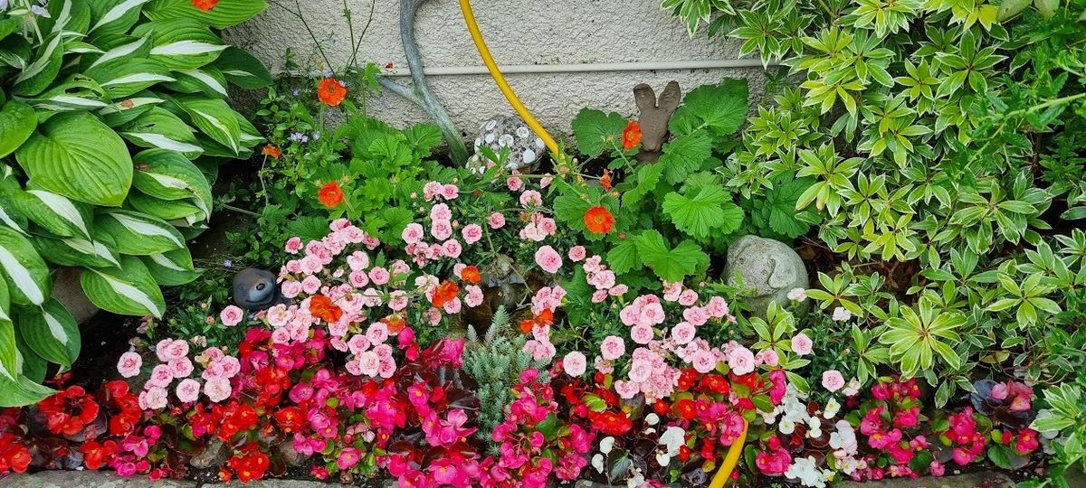 Biggar Open Gardens - 113a High Street