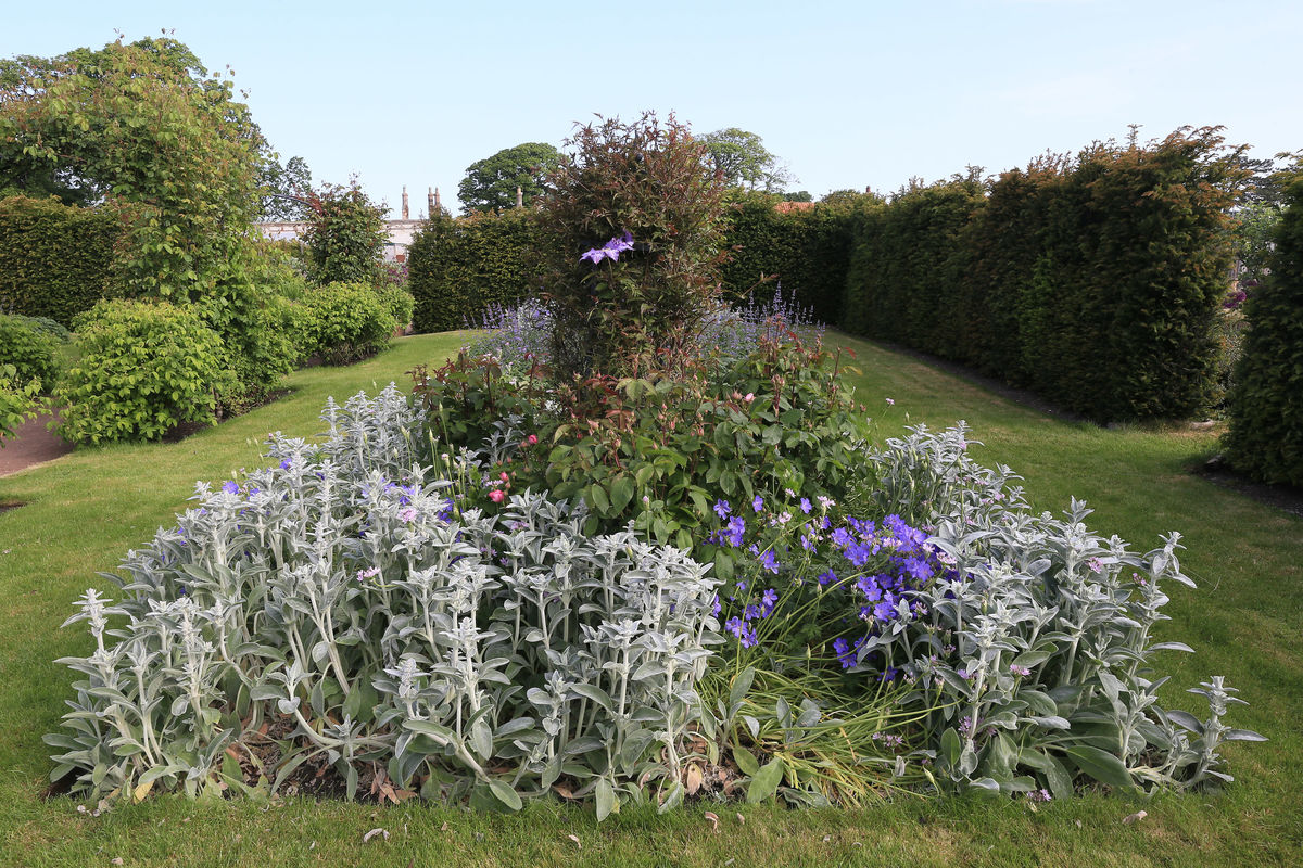 The Gardens at Archerfield Walled Garden