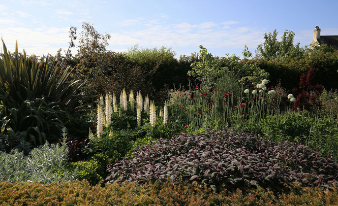 The Gardens at Archerfield Walled Garden