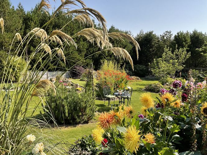 The Garden at the Auld Post Office B&B