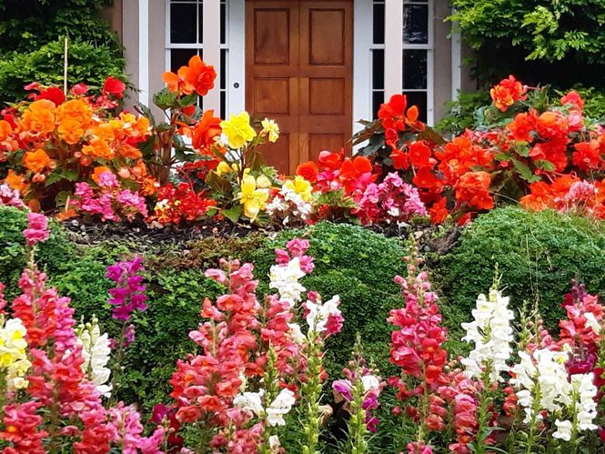 Gattonside Village Gardens