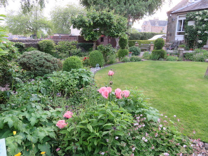 Bridge of Allan Gardens