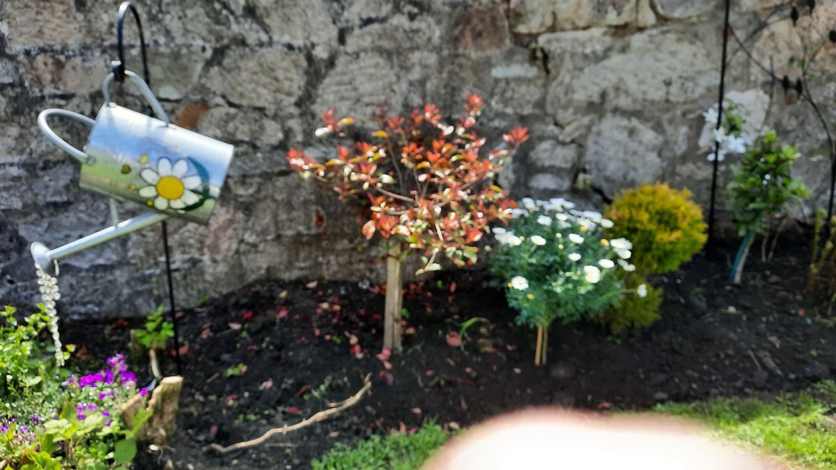 The Gardens of Milton of Campsie