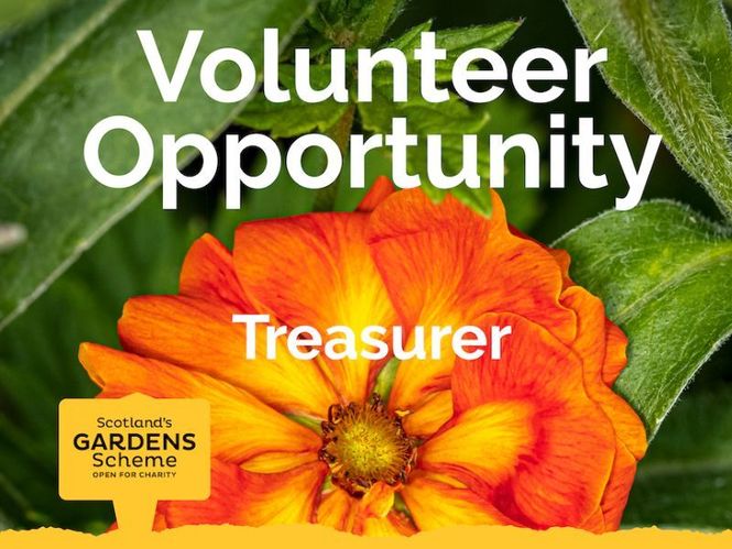 volunteer-treasurer.jpg