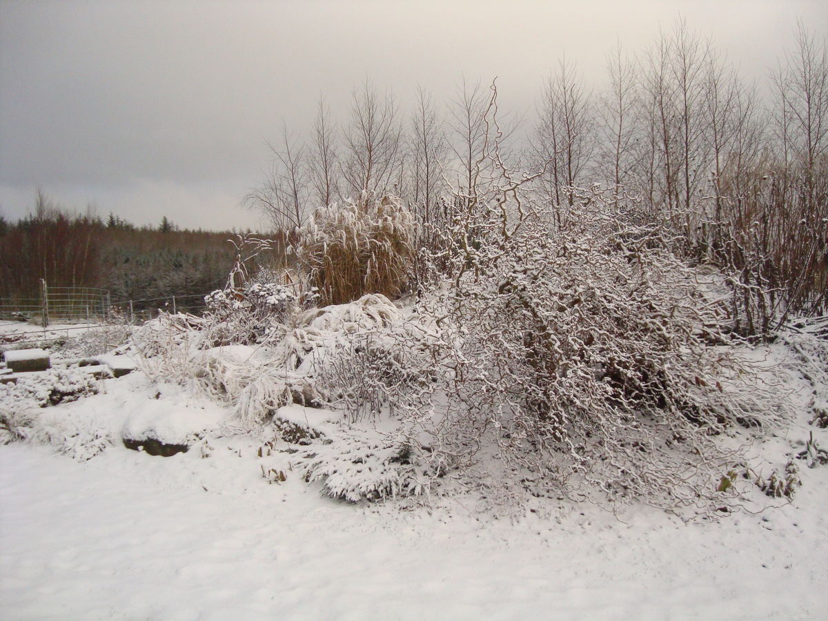 Harthill - Winter Mound