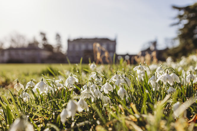 Preston Hall Walled Garden