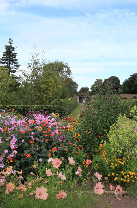 Amisfield Walled Garden