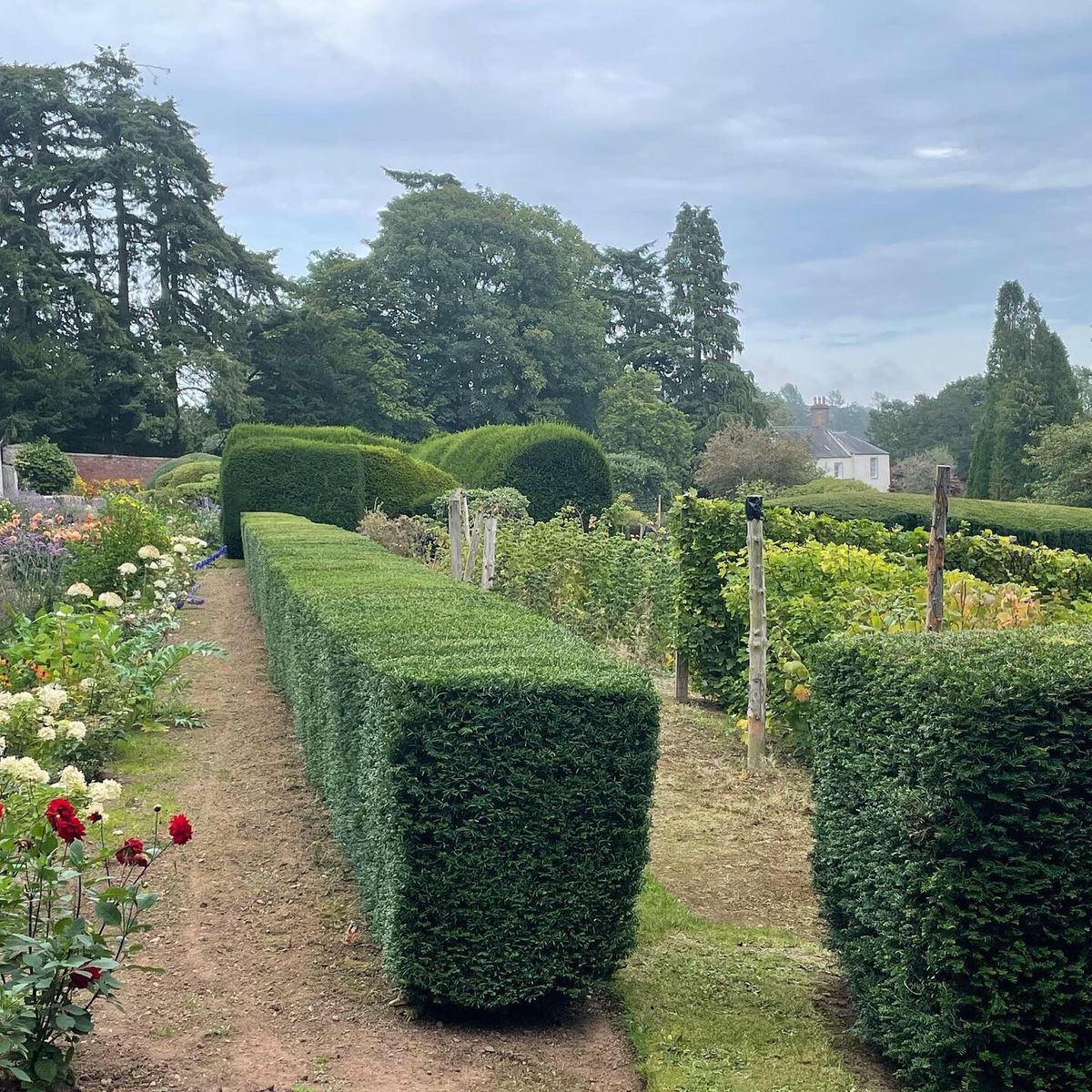 Arbuthnott House Gardens