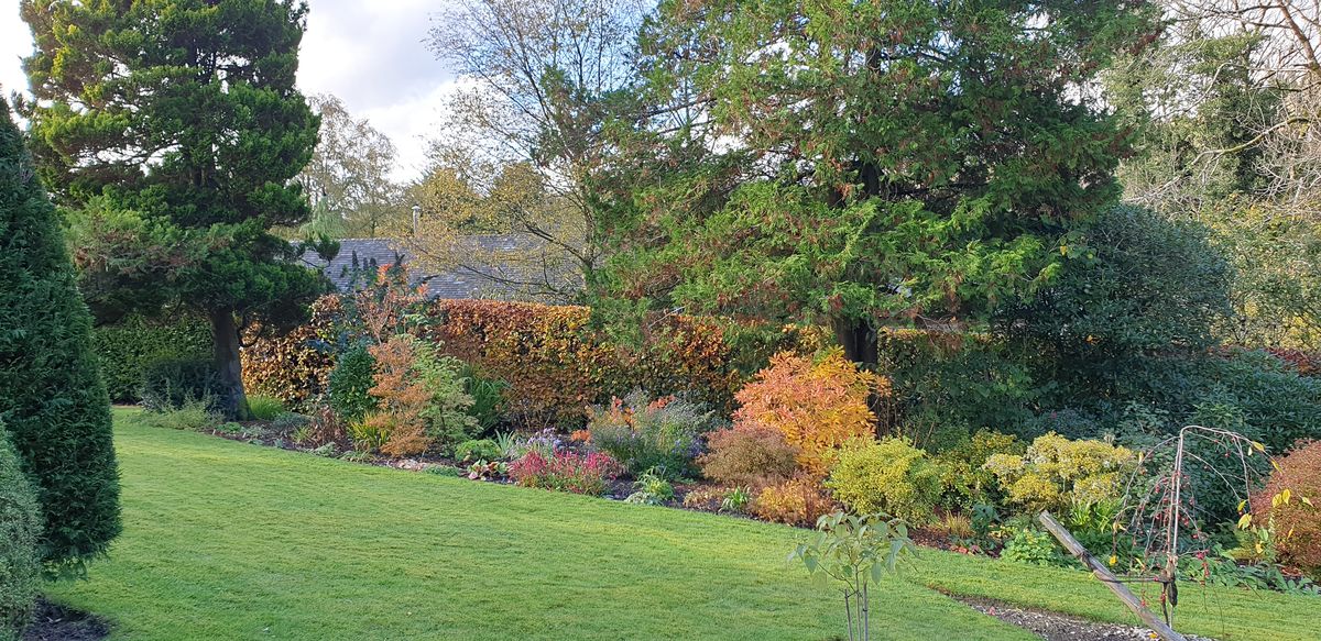 Autumn colour in the Ashbrook bed