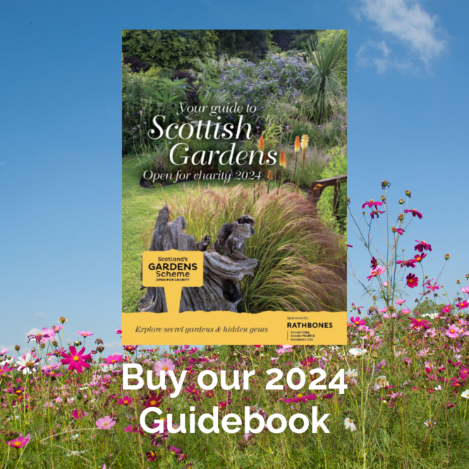 buy-our-2024-guidebook-3.png