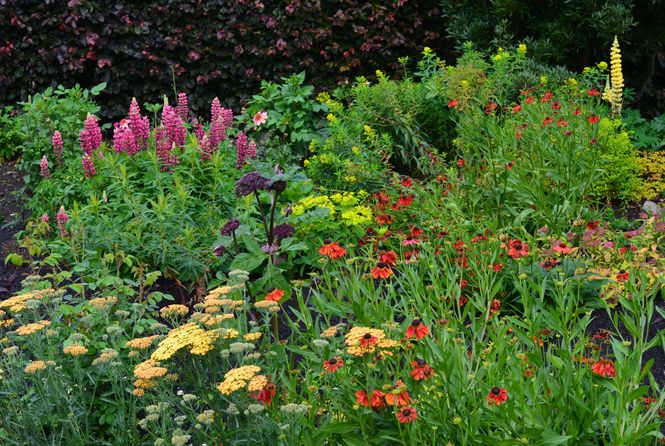 New “no dig” beds at Willowhill