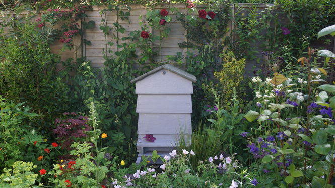 Stockbridge Open Gardens