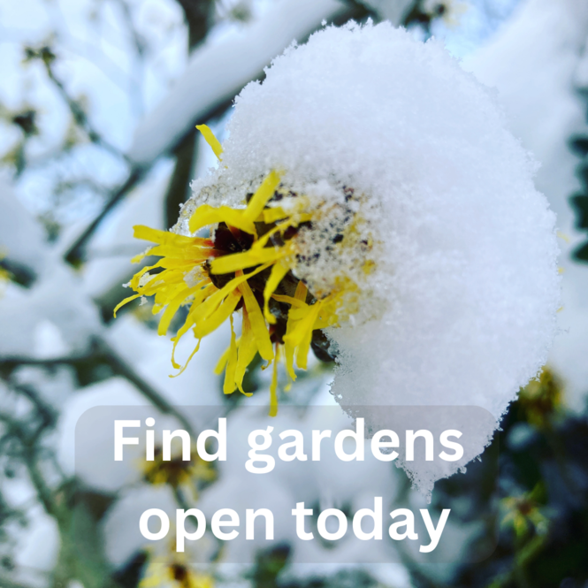 find-garden-open-today.png