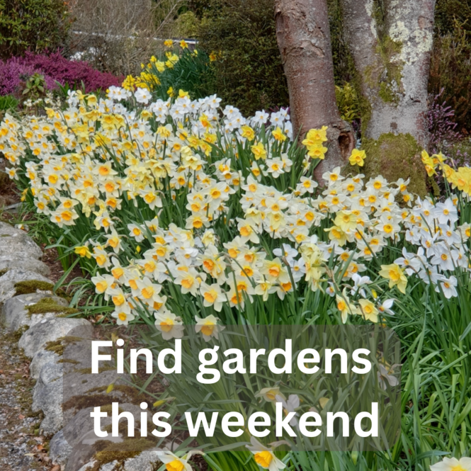 find-gardens-weekend-spring.png