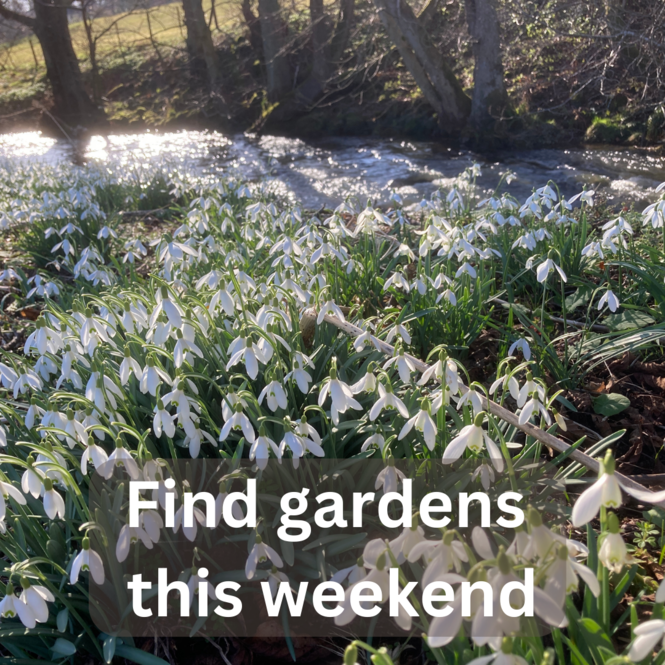 find-gardens-weekend-winter-1.png