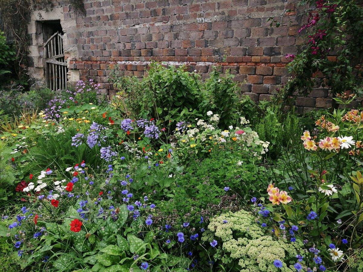 The Gardens of Monimail Tower