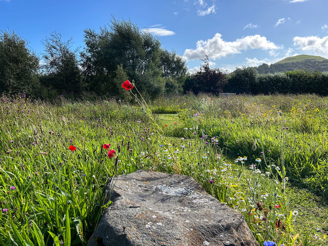 Hawk House Gardens