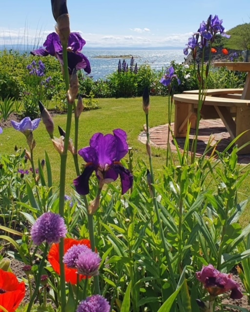 Pittenweem: Gardens in the Burgh