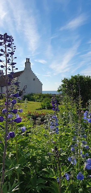 Pittenweem: Gardens in the Burgh