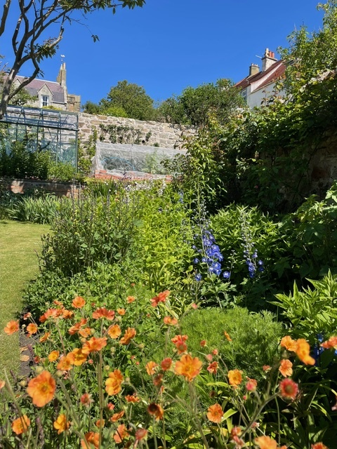 Pittenweem: Gardens in the Burgh