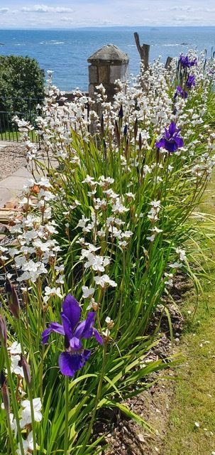 Pittenweem: Gardens in the Burgh