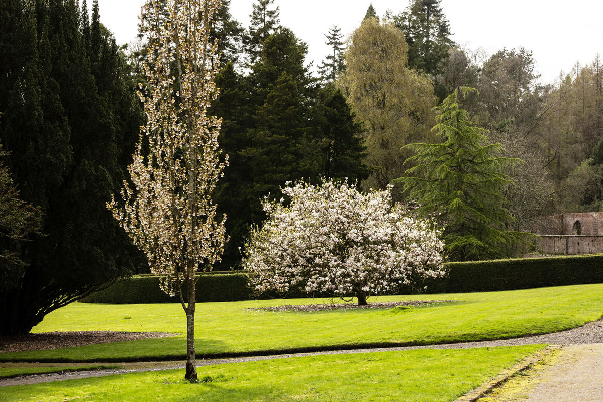 River Garden, The Restoration of Auchincruive