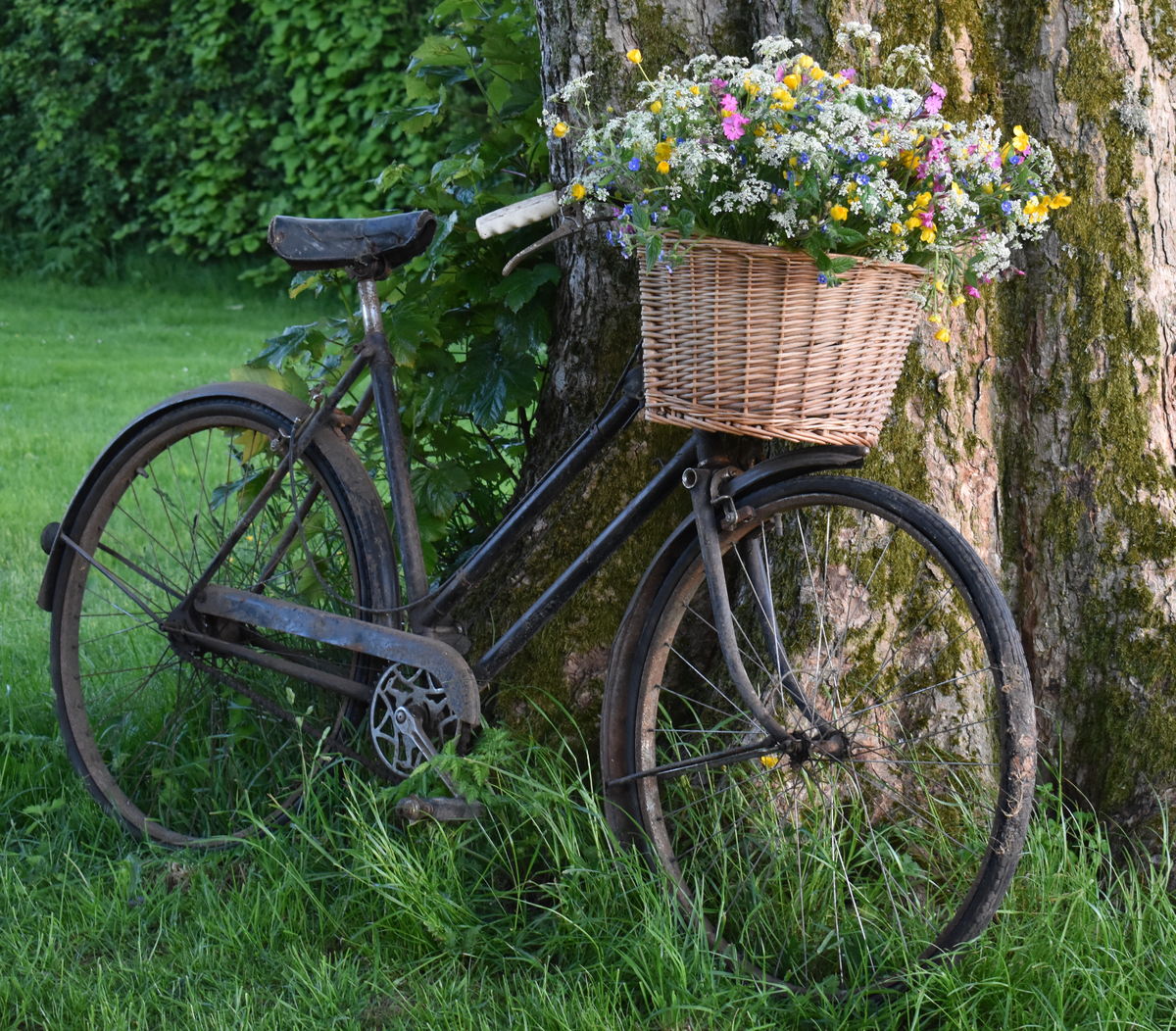 The Moorhouse wild-flowers-bicycle-basket.jpg