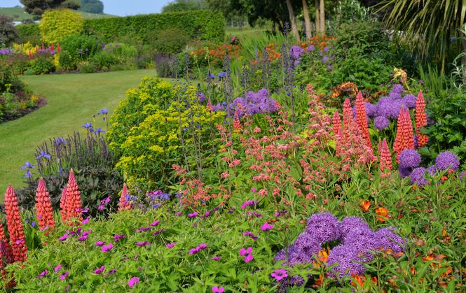 Willowhill