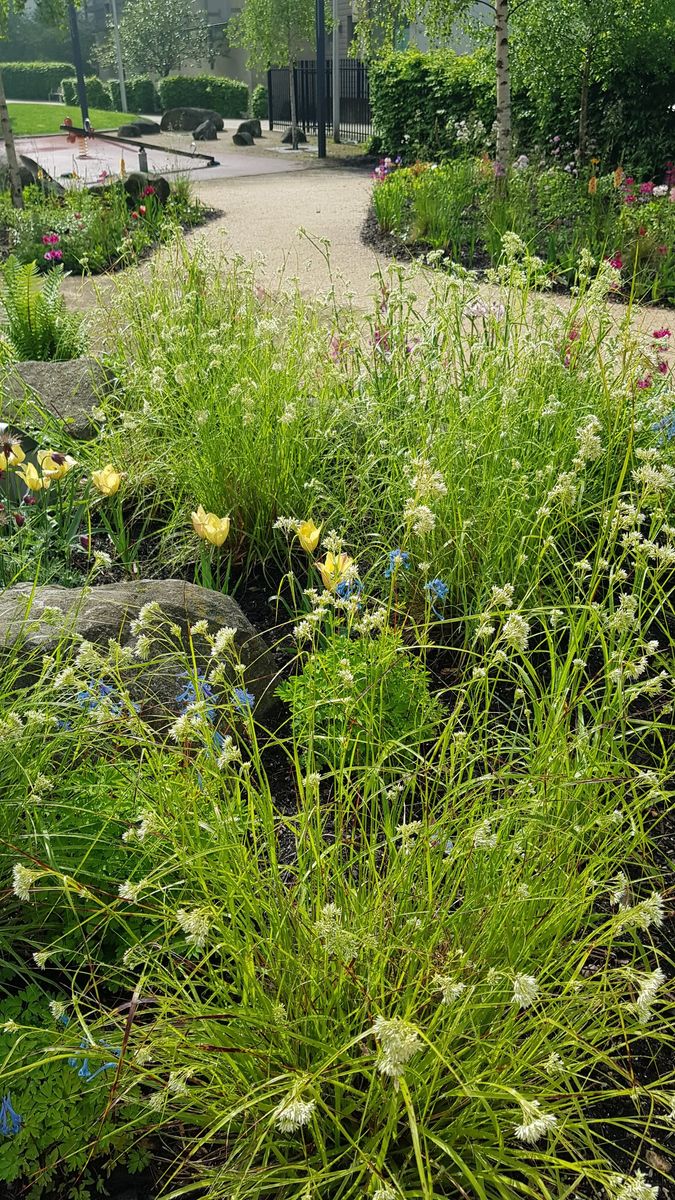 Elsewhere Garden