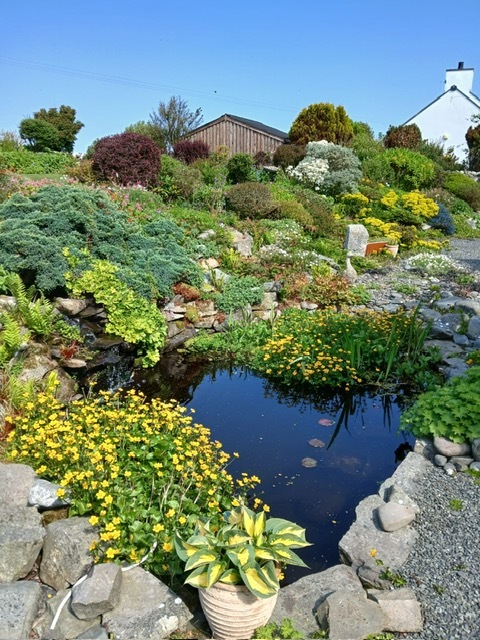 Damnaglaur House