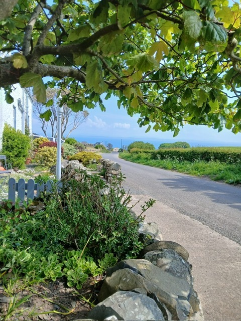 Damnaglaur House