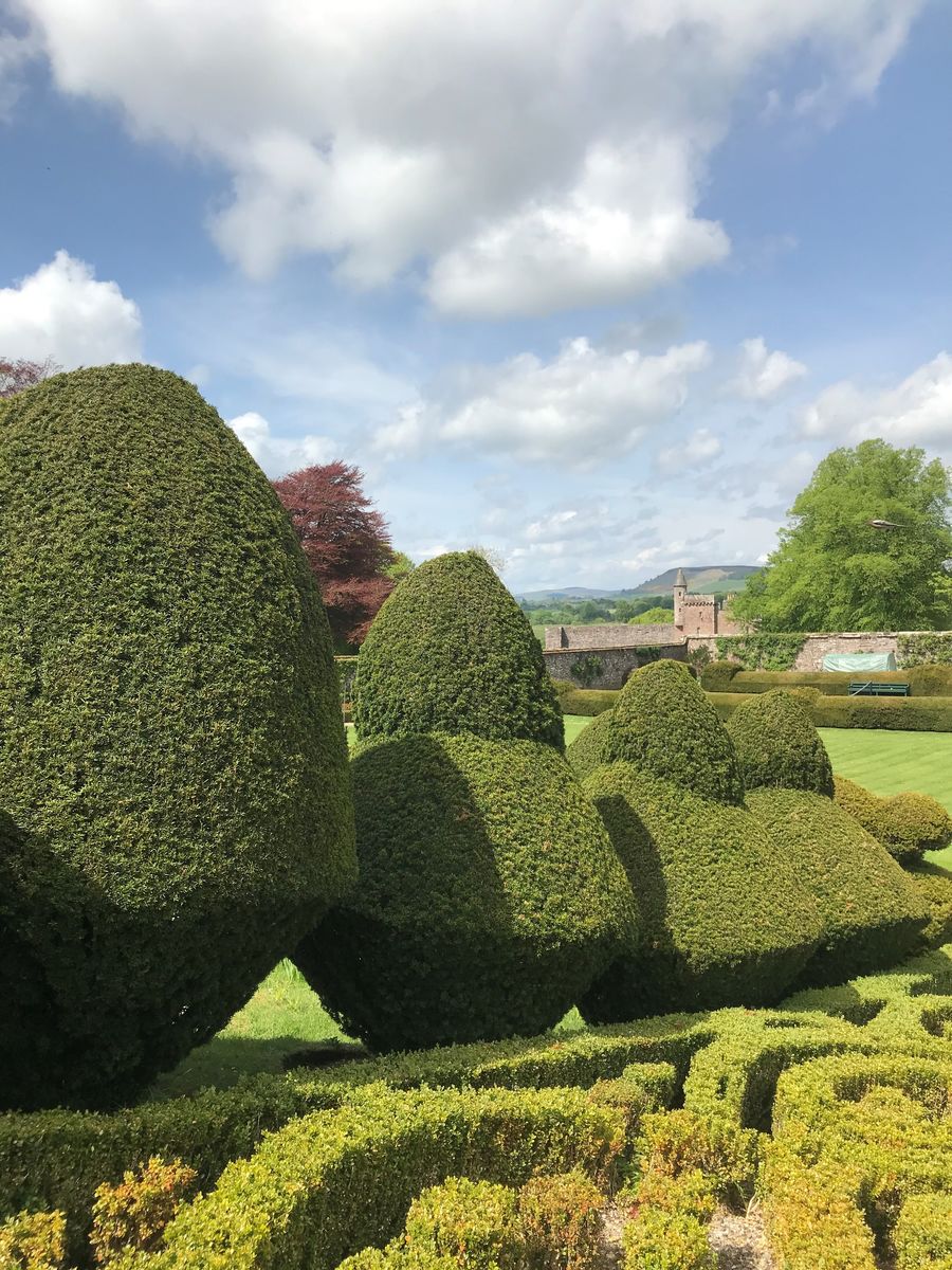 Airlie Castle Gardens