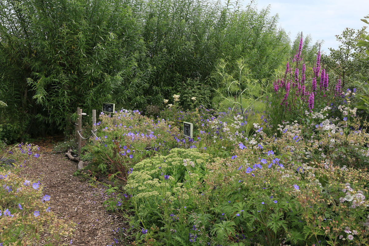 The Gardens at Archerfield Walled Garden