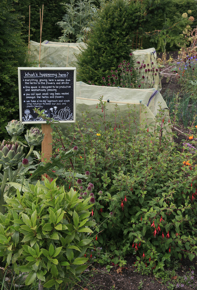 The Gardens at Archerfield Walled Garden