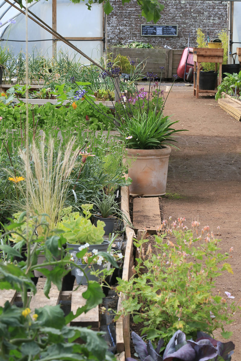 The Gardens at Archerfield Walled Garden