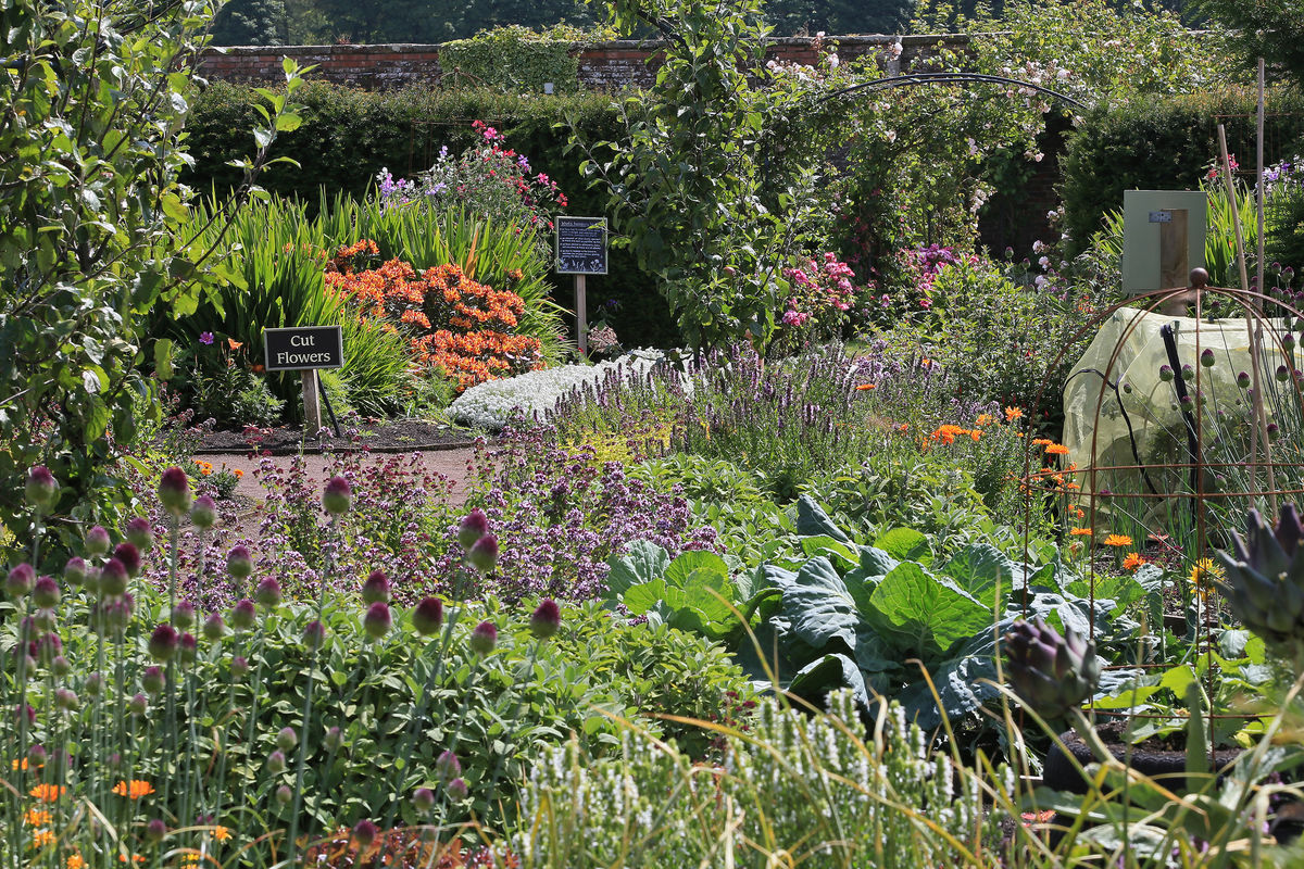 The Gardens at Archerfield Walled Garden