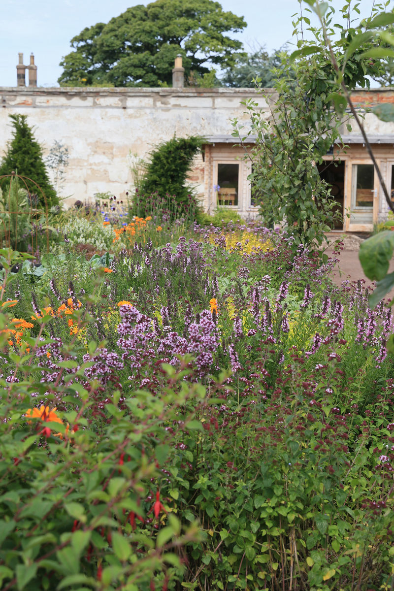 The Gardens at Archerfield Walled Garden