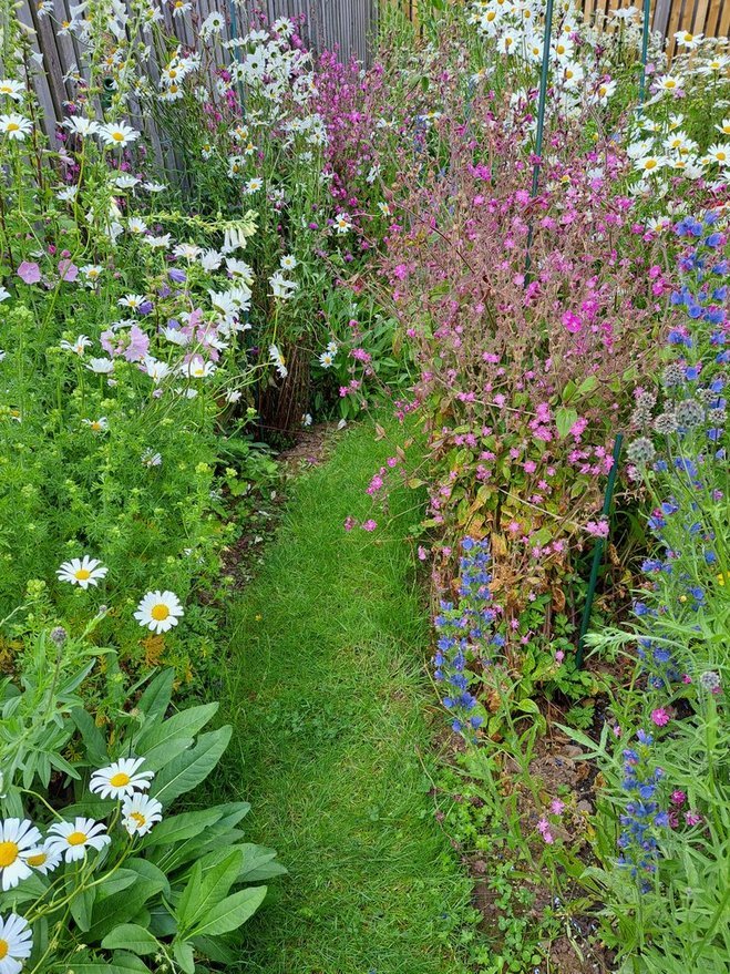 Ashludie Wildflower Garden