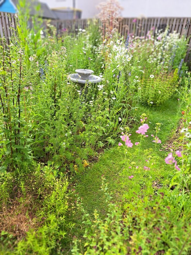 Ashludie Wildflower Garden