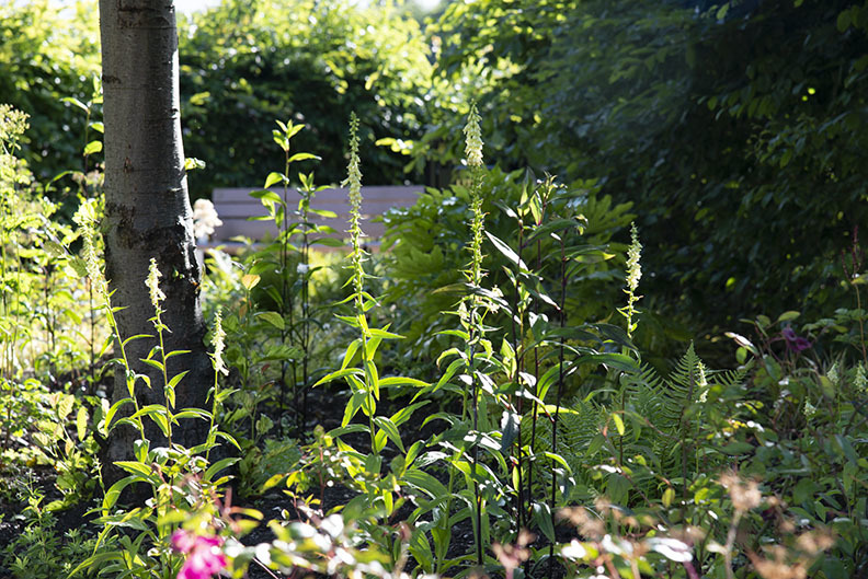 Elsewhere Garden