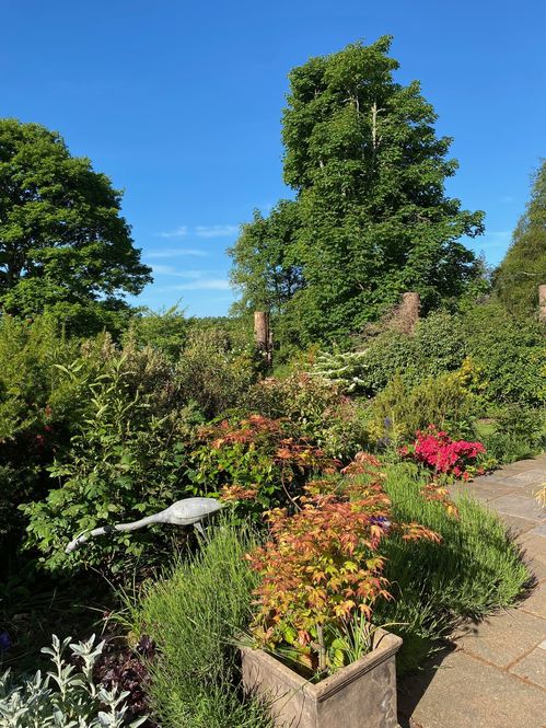 Cruachan Lodge