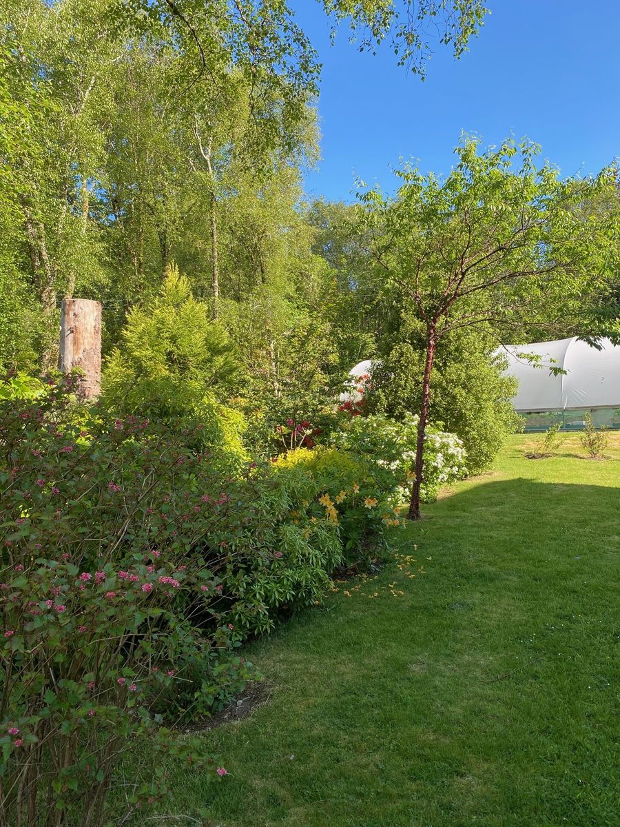 Cruachan Lodge