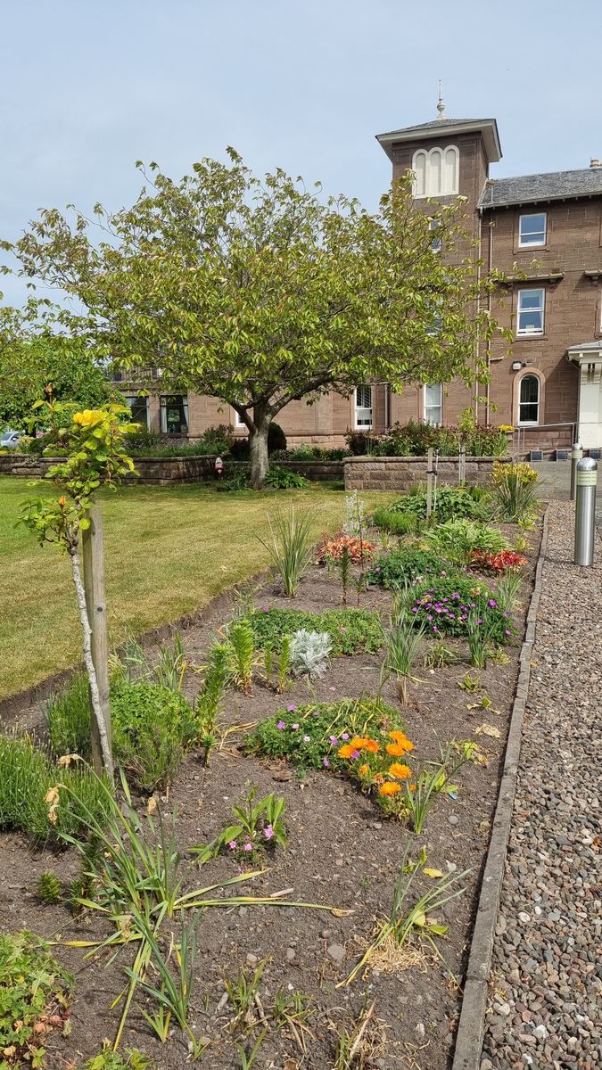 Dorward House
