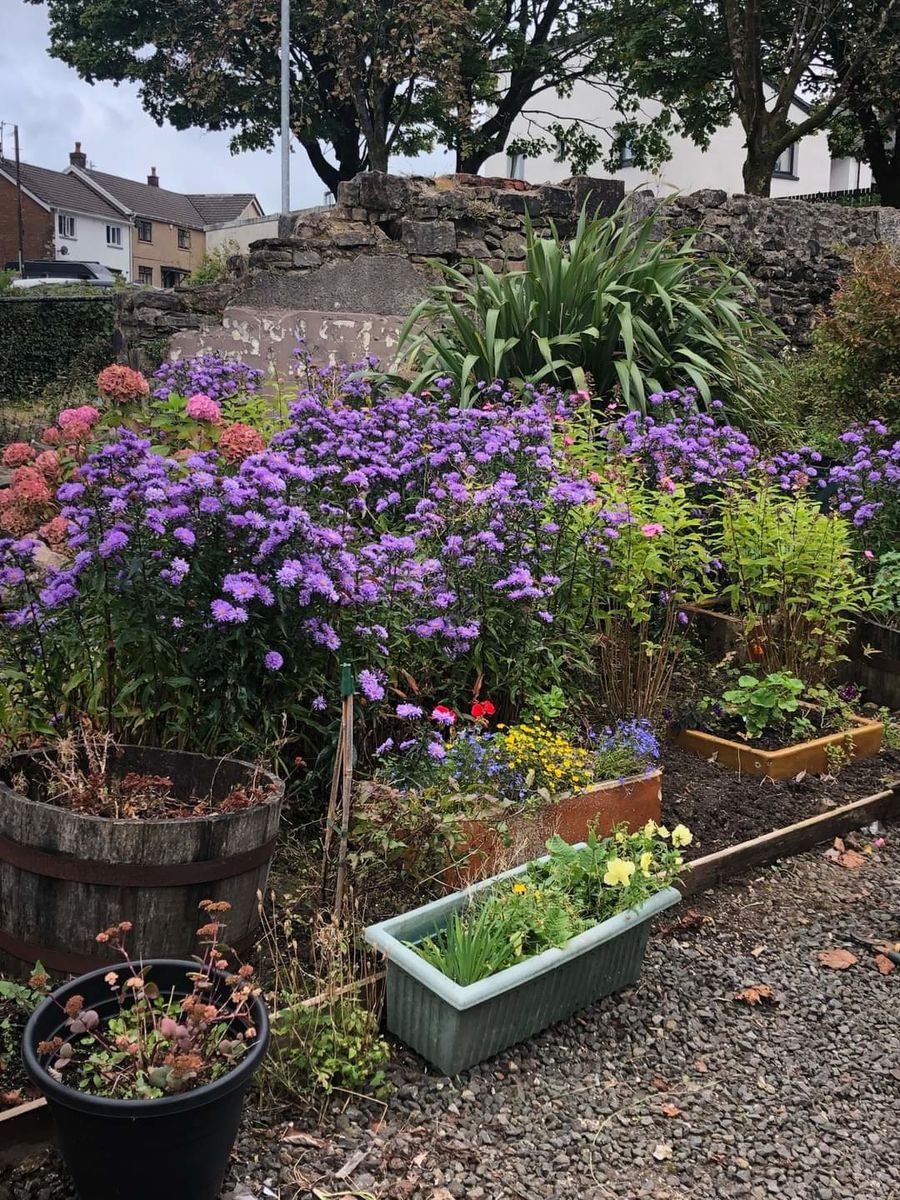 Beith Orr Park Neighbourhood Watch Community Garden