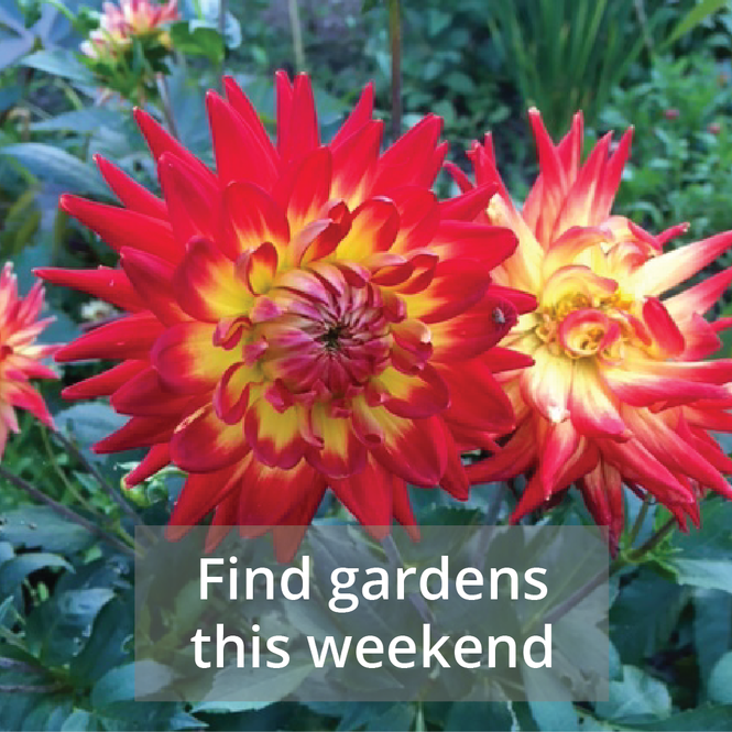 find-gardens-sept.png