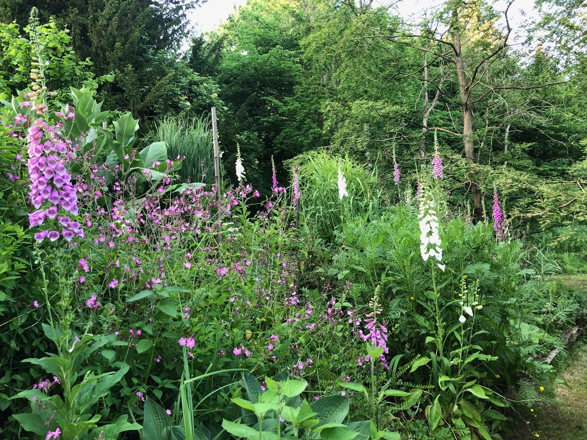 The Pond Garden