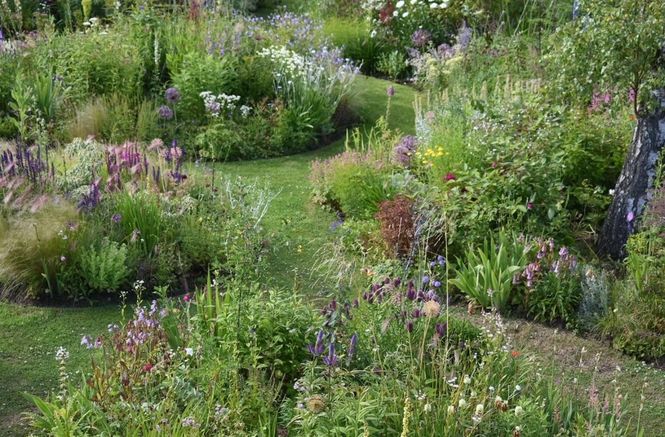 Ruthven Cottage Hardy Plant Nursery