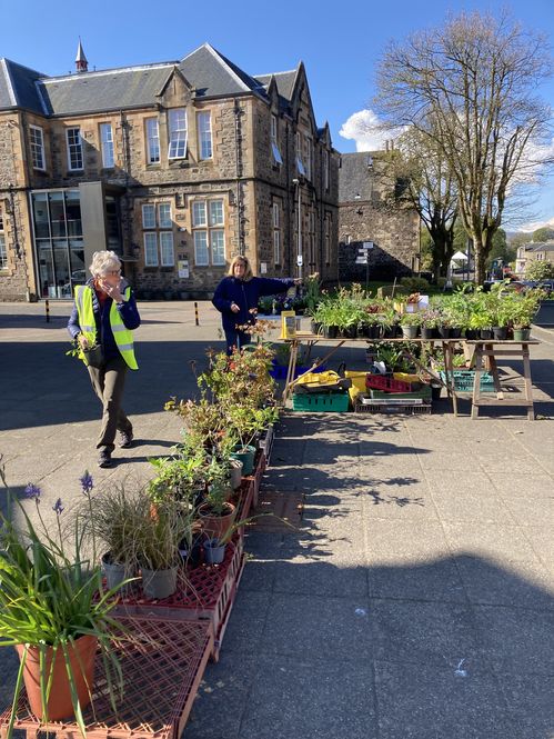 SGS Kilmacolm Plant Sale