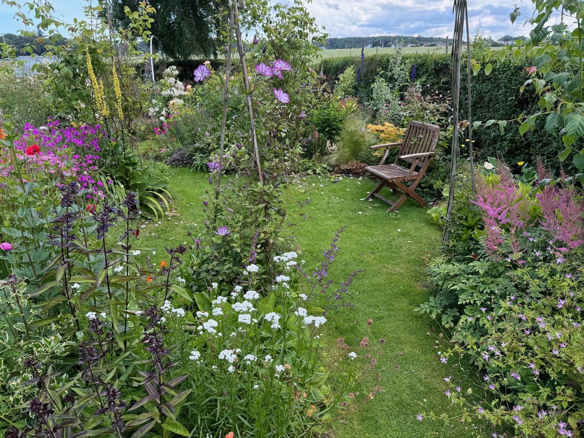 Ruthven Cottage Hardy Plant Nursery