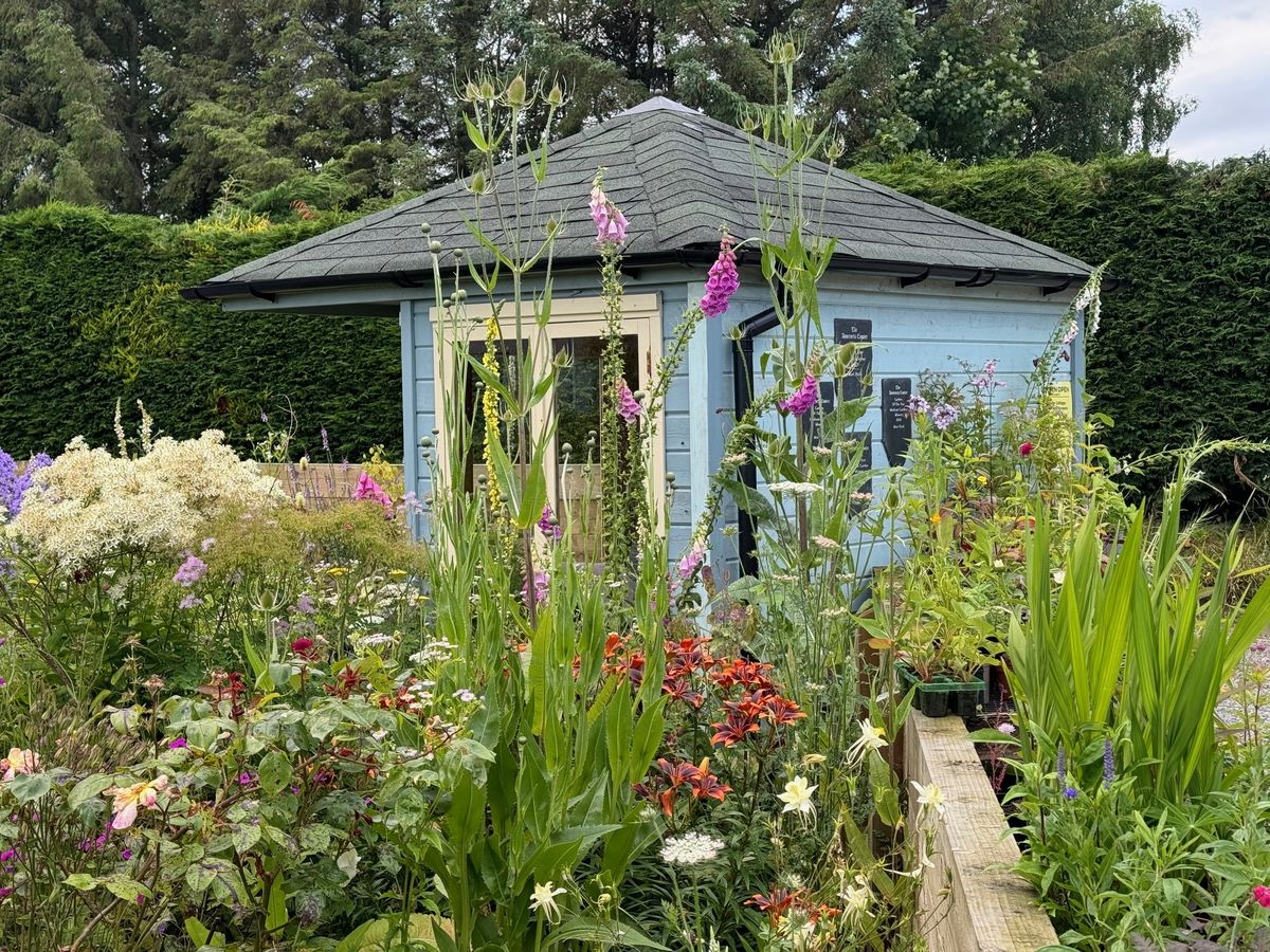 Ruthven Cottage Hardy Plant Nursery